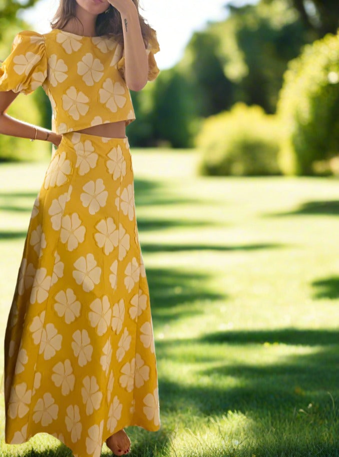 The CLARA set